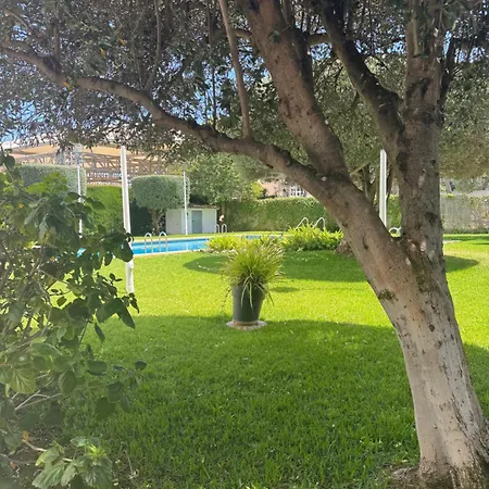 Albir Adventino アパート アルビール